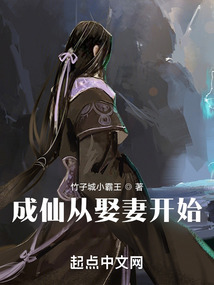 成仙从娶妻开始免费阅读
