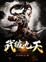 武破九天安仔
