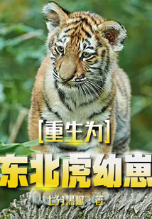 重生为东北虎幼崽小说免费阅读