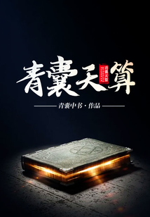 青囊天算小说
