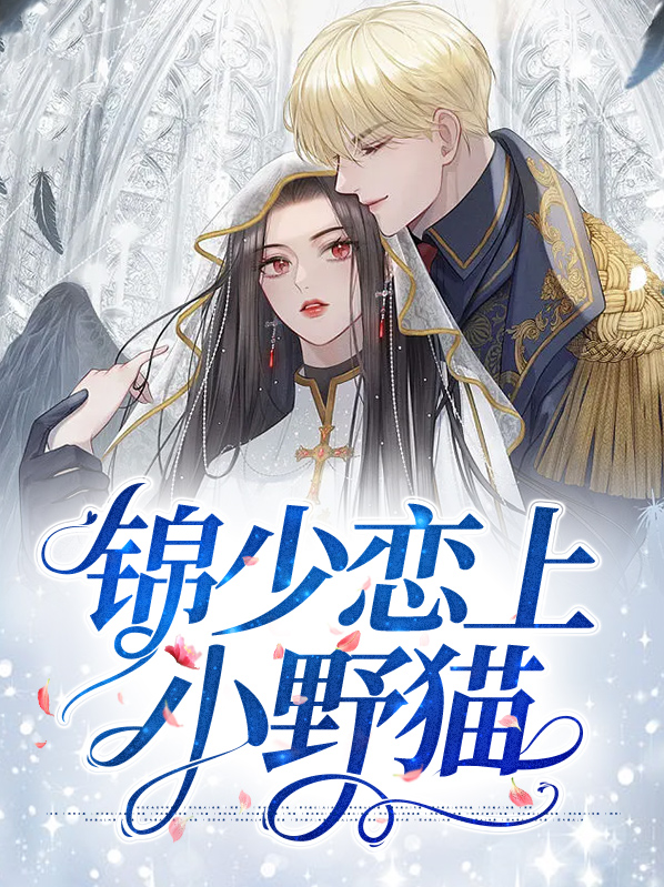 锦少误入坑