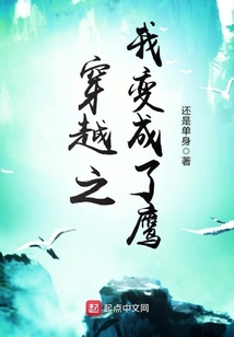 穿越之我变成了鹰 小说