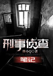 刑事侦查笔记小说下载