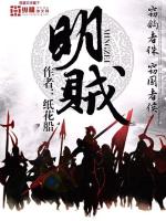 明贼txt