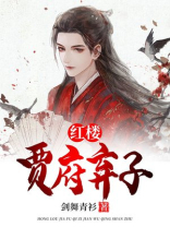 红楼之贾府弃子TXT