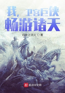 我,卫宫巨侠,畅游诸天全本