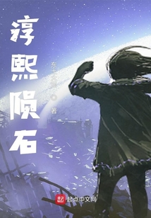 淳熙陨石 小说