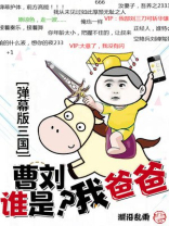 曹刘是什么意思