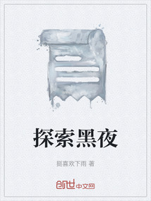 探索黑夜作文