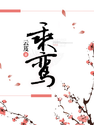 乘鸾小说讲什么的