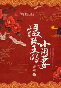 摄政王的小闲妻穆九身份