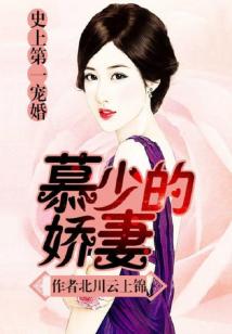 恰逢星光璀璨时全文免费阅读无弹窗