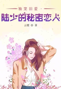 独宠旧爱・陆少的秘密恋人 小说