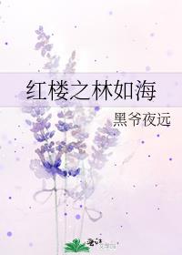 红楼之林如海重生全文阅读
