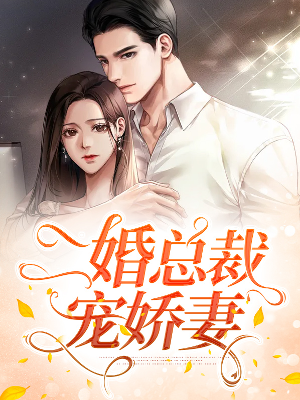 二婚总裁宠娇妻全文阅读
