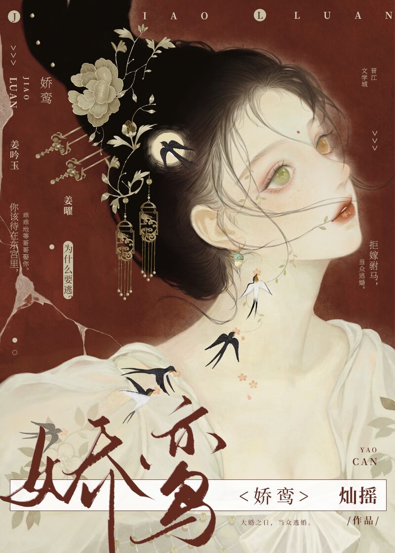 娇鸾小说讲的是什么