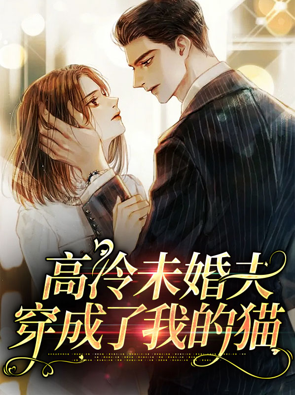 高冷未婚妻的小说