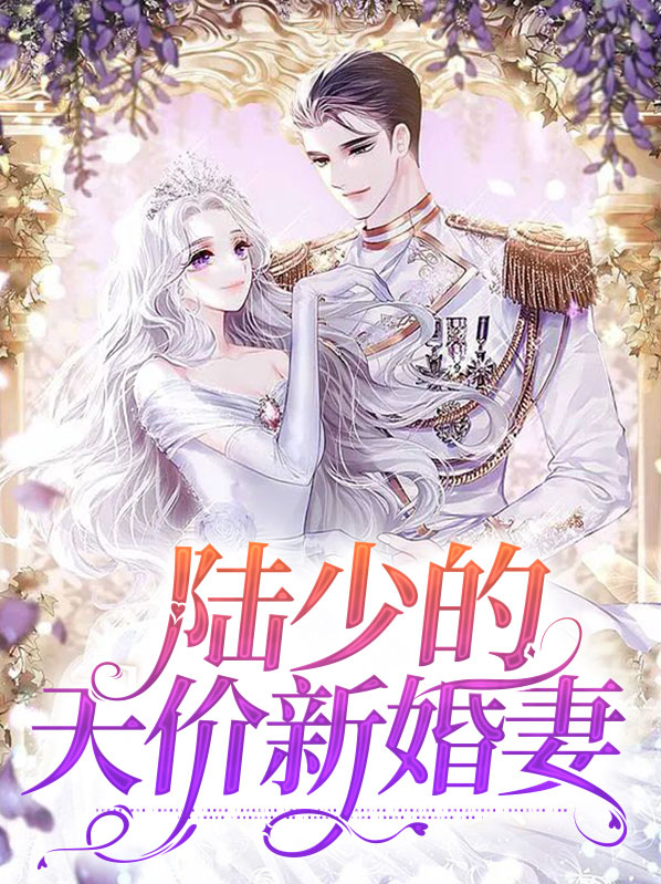陆少的天价新婚妻