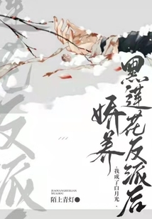 娇养反派小说