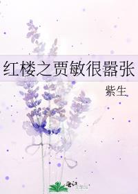 红楼之贾敏有读心术