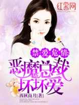 恶魔总裁坏坏爱相似的小说