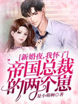 新婚夜,我怀了帝国总裁的两个崽小说