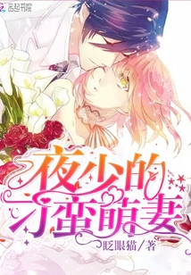 夜少的野蛮前妻txt