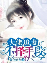 大佬追妻不择手段[爱你]