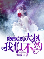 小妻难驯大叔我们不约 小说