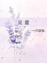 见星帘的全部小说免费阅读