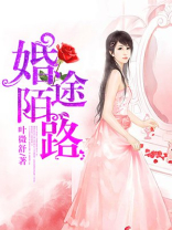 婚途陌路作者空空小说