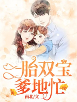 一胎双宝爹地忙漫画