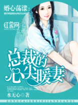 总裁的心尖暖妻 小说