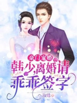 豪门宠婚:韩少,离婚请签字