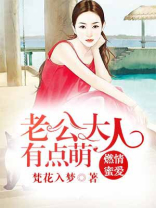 老公大人有点宠
