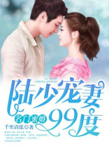 陆少宠妻99度小说txt