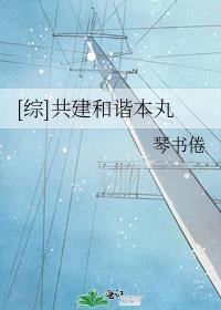 综共建和谐本丸