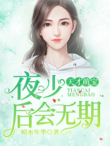 天才夜少太腹黑