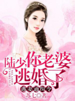 陆先生你命里缺我免费苏七