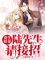 陆先生的重生娇妻视频