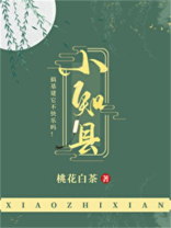 小知县下载