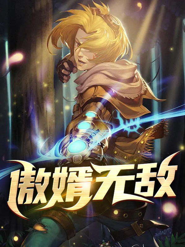 小说傲婿出山