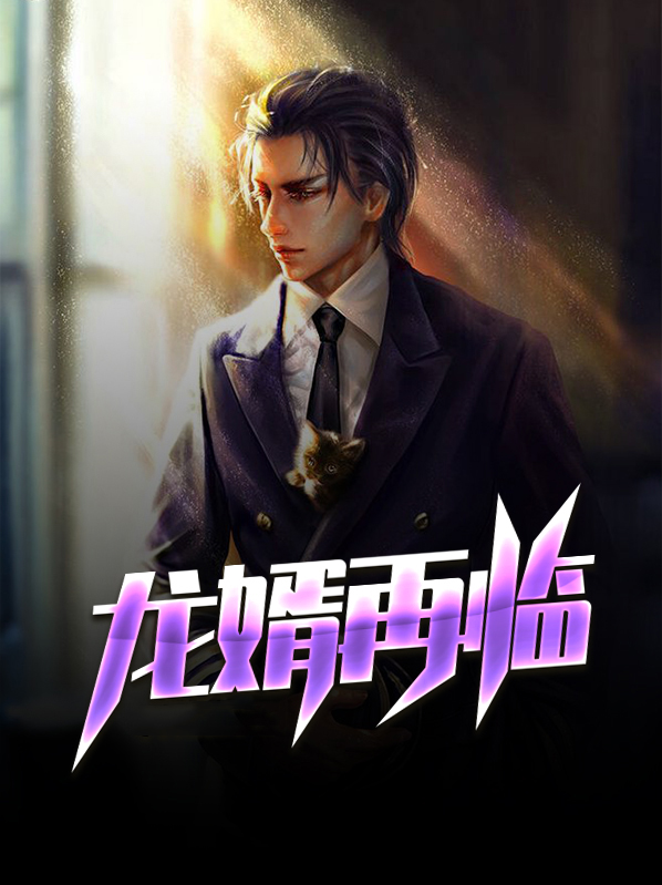 龙婿在上 小说