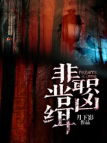 非职业缉凶