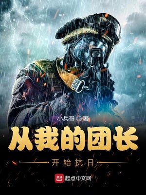 从我的团长开始抗日 小说