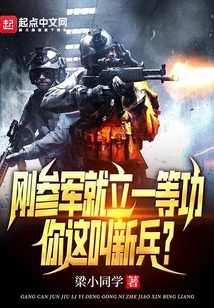 刚参军就立一等功,你这叫新兵txt