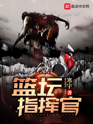 篮坛指挥官大结局