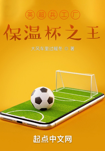 英超兵工厂保温杯之王121du