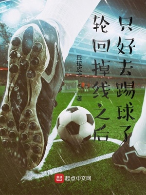 轮回掉线之后只好去踢球了小说