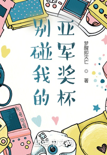 别碰我的亚军奖杯小说